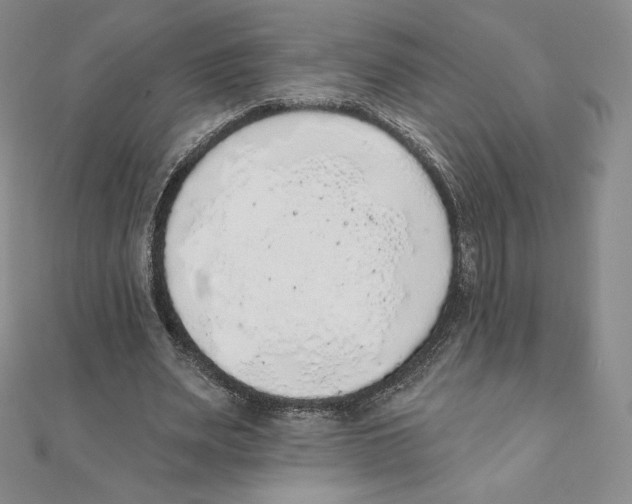 X0000111130487200907281054