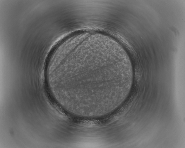 X0000111130488200907281054