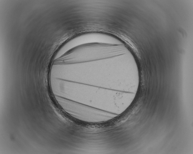X0000111130489200907281054