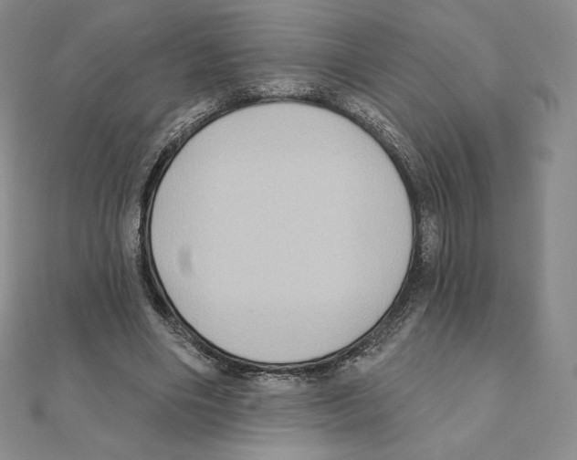 X0000111130490200907281054