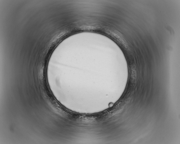 X0000111130491200907281054