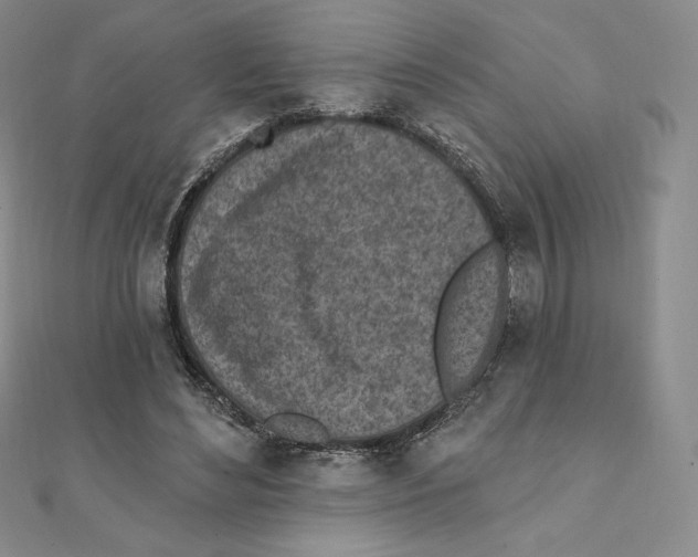 X0000111130492200907281054