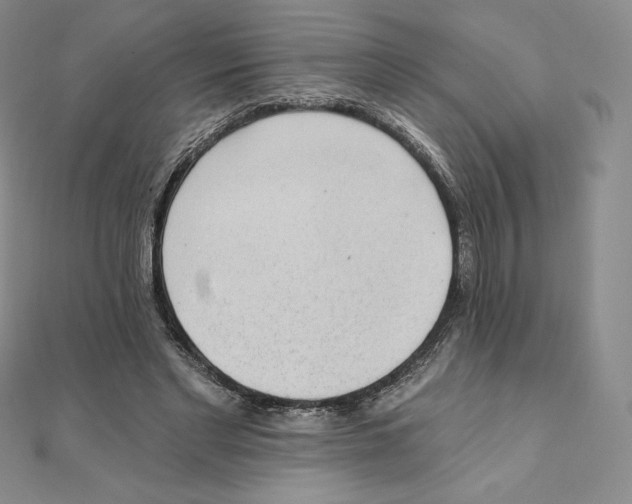 X0000111130493200907281054
