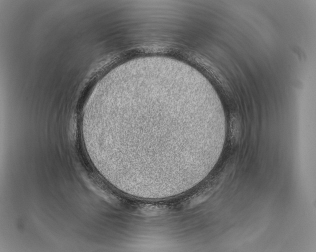 X0000111130494200907281054