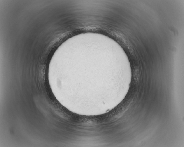 X0000111130495200907281054