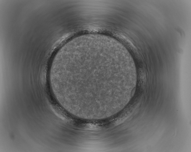 X0000111130496200907281054