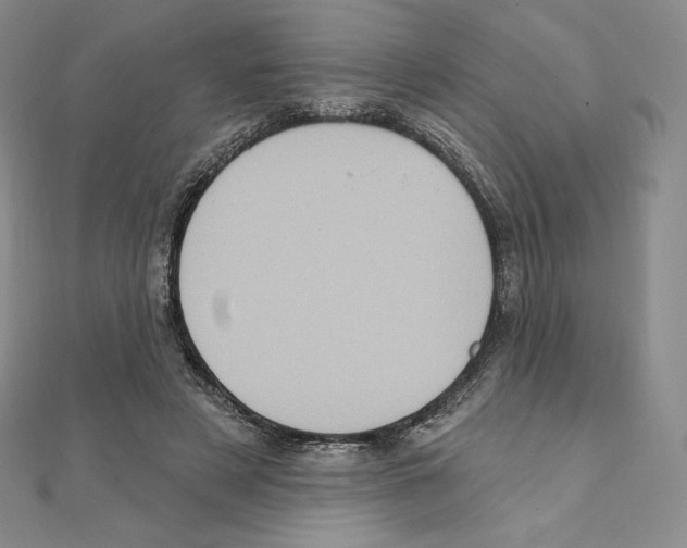 X0000111130497200907281054