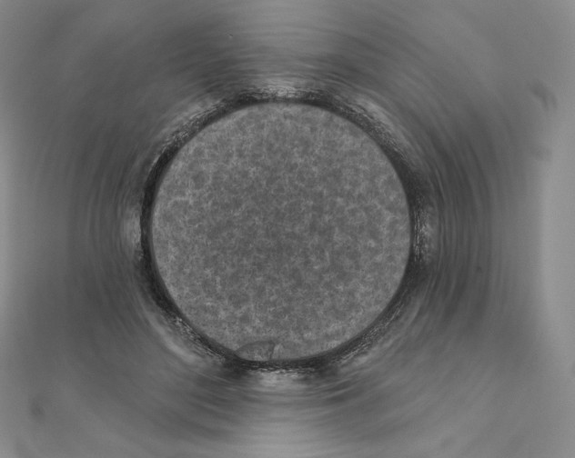 X0000111130500200907281054