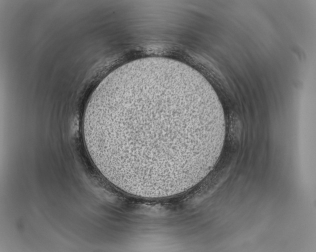 X0000111130502200907281054