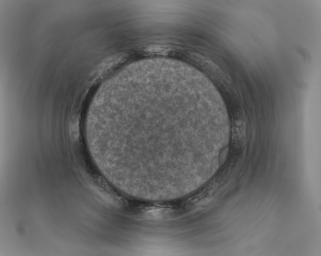 X0000111130504200907281054