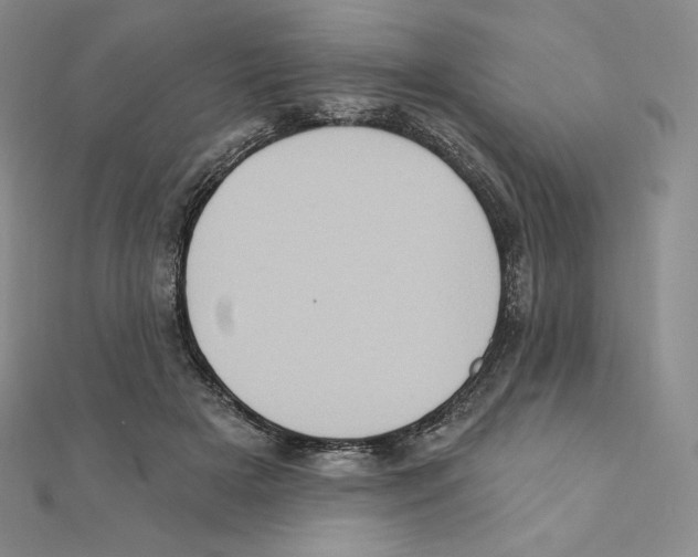 X0000111130505200907281054