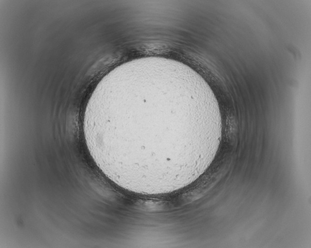 X0000111130506200907281054
