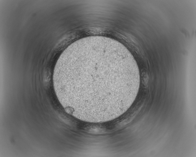 X0000111130507200907281054