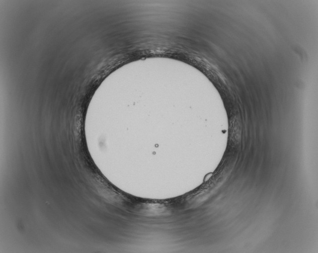 X0000111130509200907281054