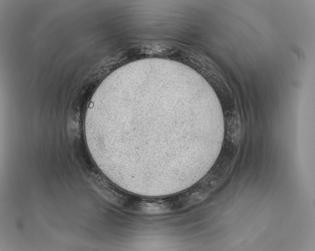 X0000111130510200907281054