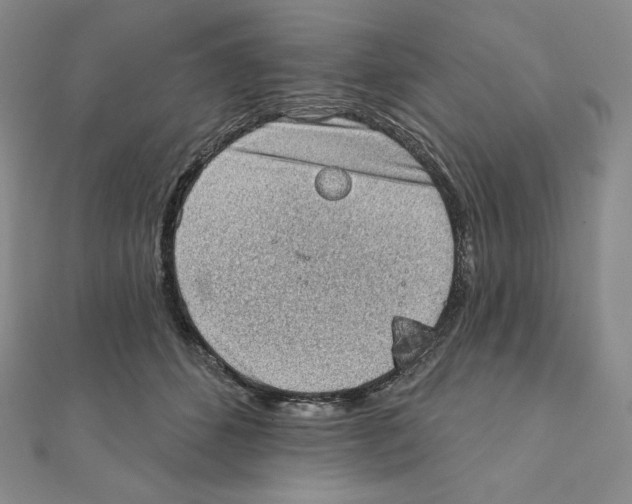 X0000111130512200907281054