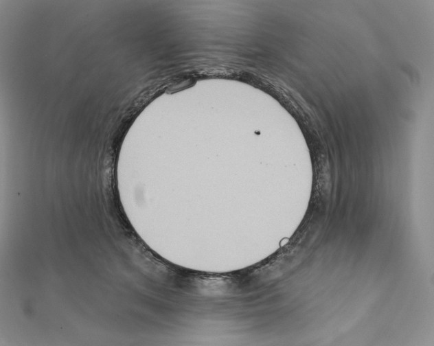 X0000111130513200907281054