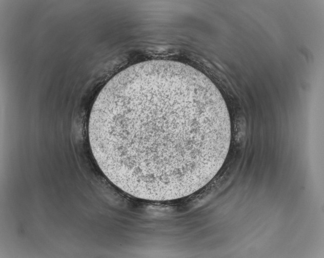 X0000111130515200907281054