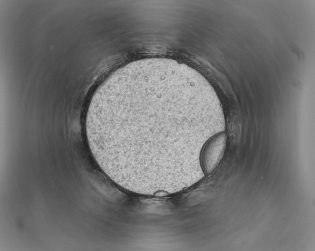 X0000111130516200907281054