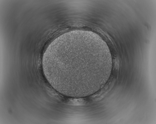 X0000111130517200907281054