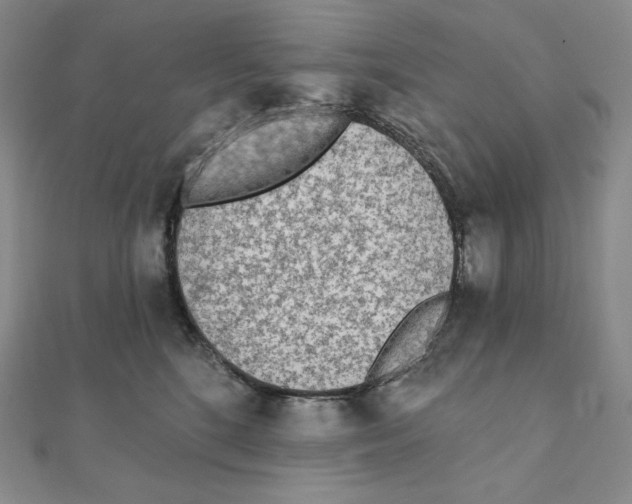 X0000111130520200907281054