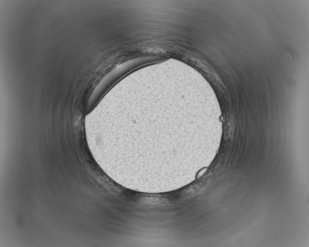 X0000111130521200907281054