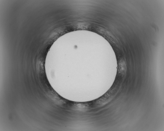 X0000111130522200907281054