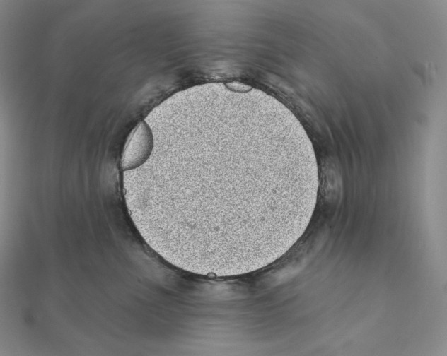 X0000111130523200907281054