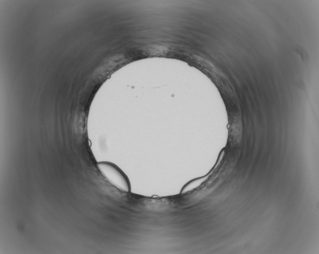 X0000111130525200907281053
