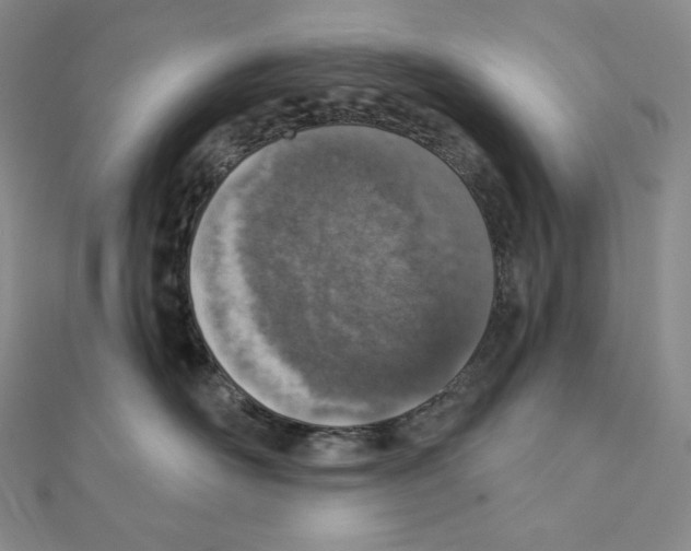 X0000111130526200907281053