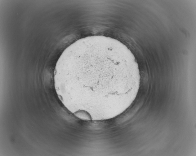 X0000111130527200907281053