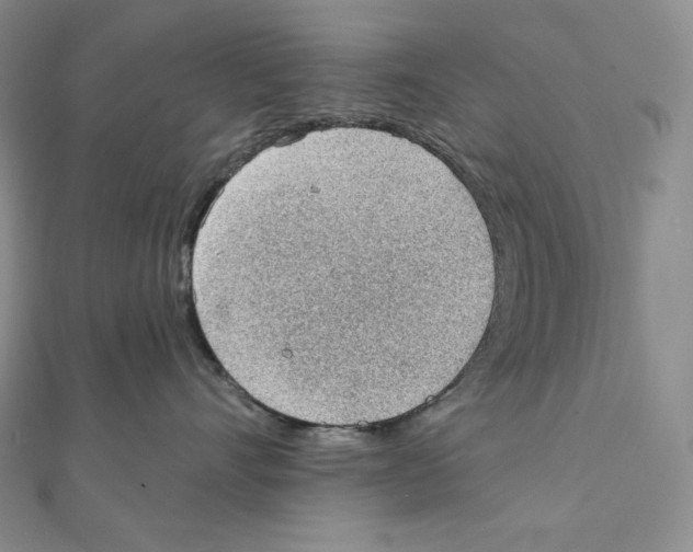 X0000111130528200907281053