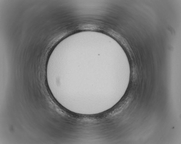 X0000111130529200907281053