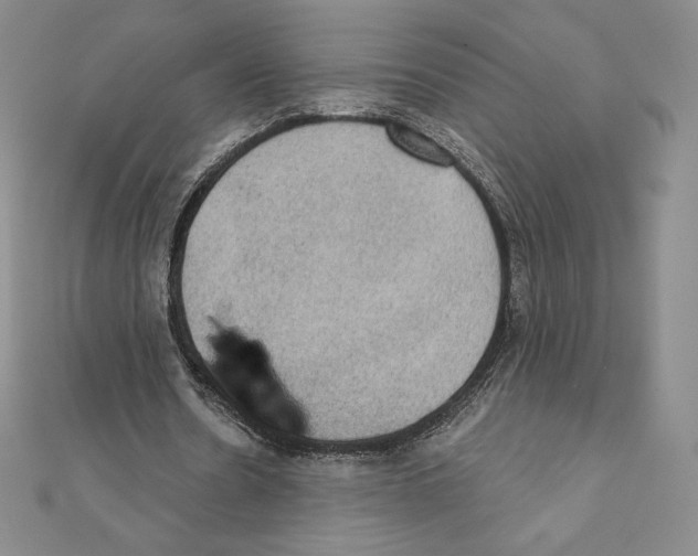 X0000111130530200907281053