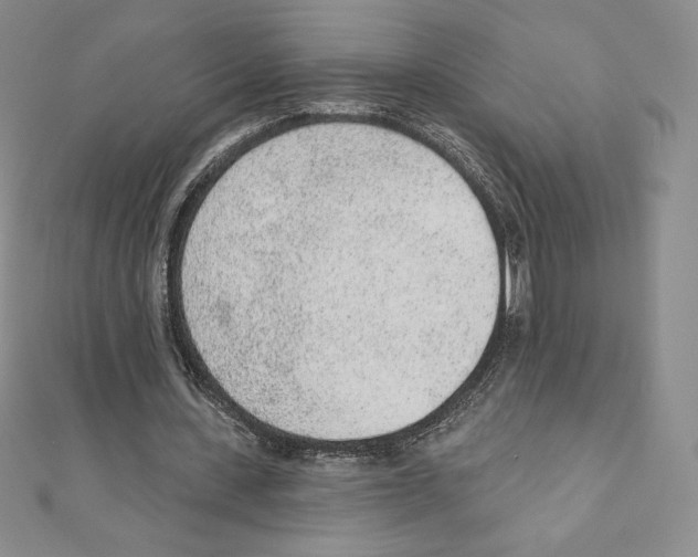 X0000111130531200907281053
