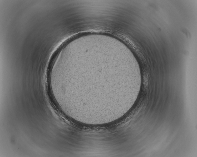 X0000111130532200907281053