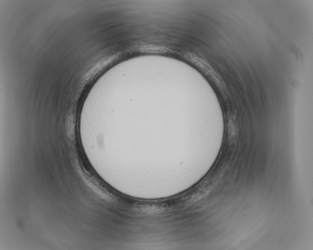 X0000111130533200907281053