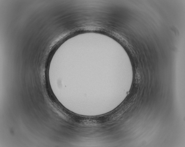 X0000111130535200907281053