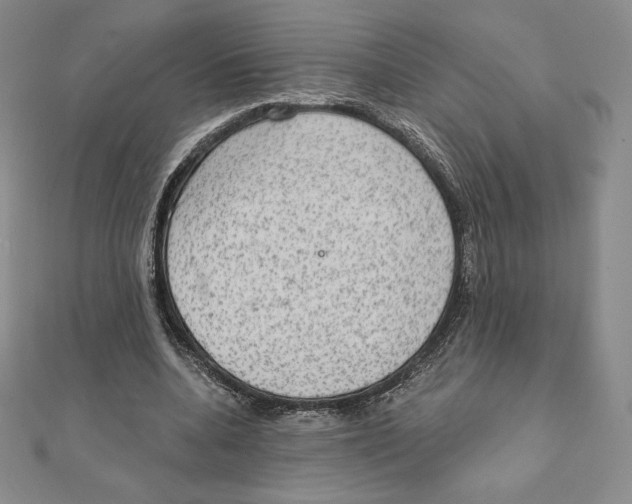 X0000111130536200907281053