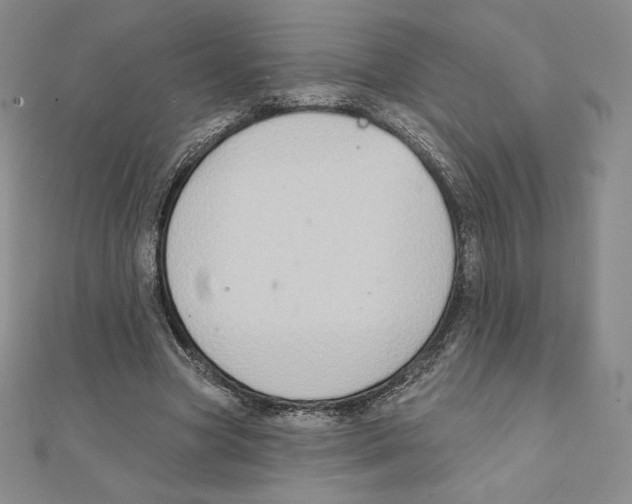 X0000111130537200907281053