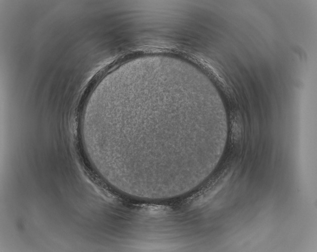 X0000111130539200907281053