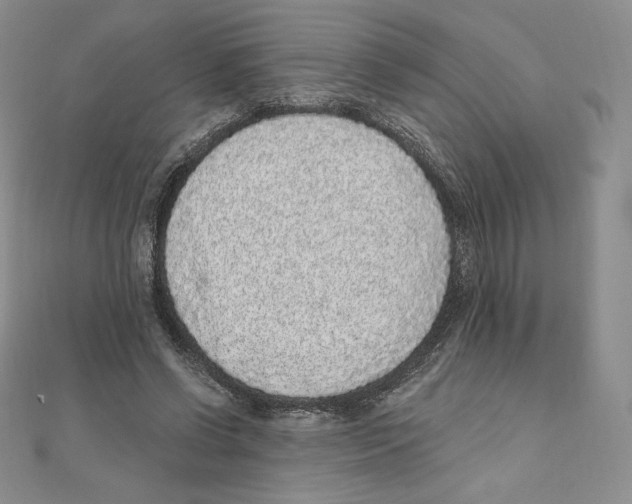 X0000111130542200907281053