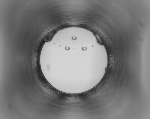 X0000111130544200907281053