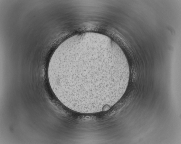 X0000111130546200907281053