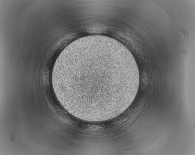 X0000111130547200907281053