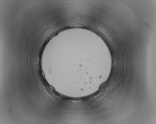 X0000111130548200907281053