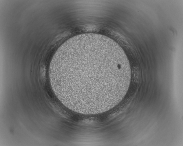 X0000111130550200907281053