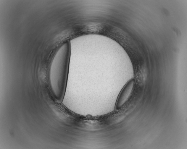 X0000111130552200907281053