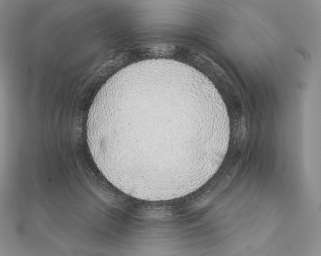 X0000111130553200907281053