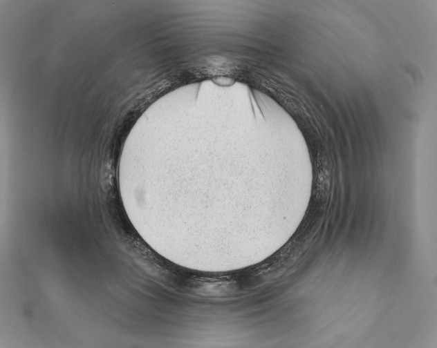 X0000111130555200907281053